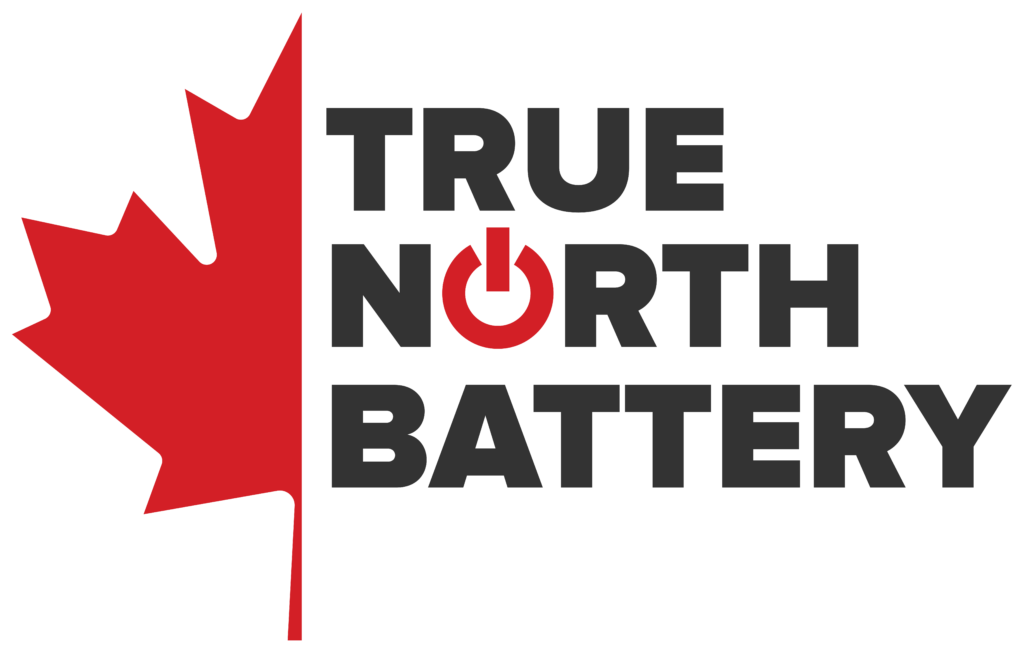 True North Logo